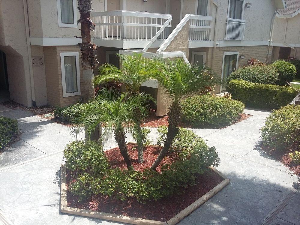 Hawthorn Suites By Wyndham Orlando International Drive Dış mekan fotoğraf